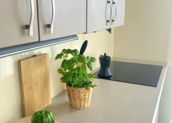 Adamant שצ'צ'ין